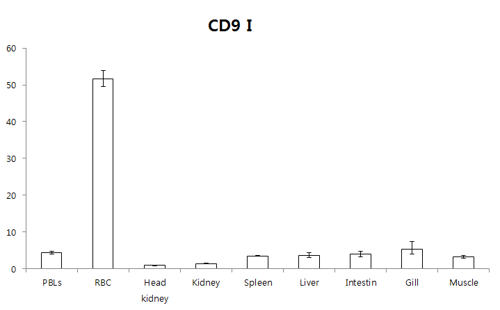 Quantitative real-time PCR analysis of the CD9 I expression in various tissues of healthy rock bream.