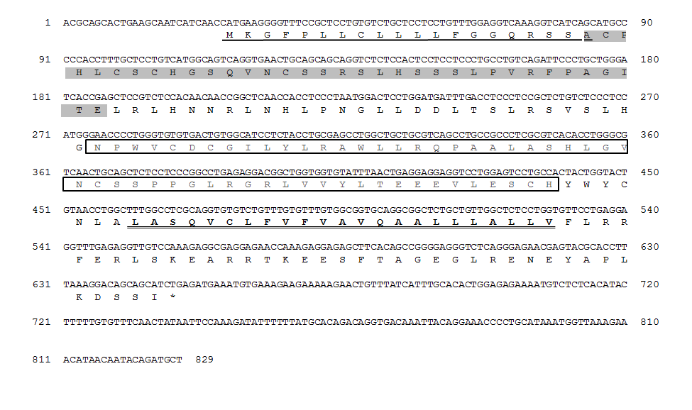 Nucleotide and deduced amino acid sequences of rock bream CD42.