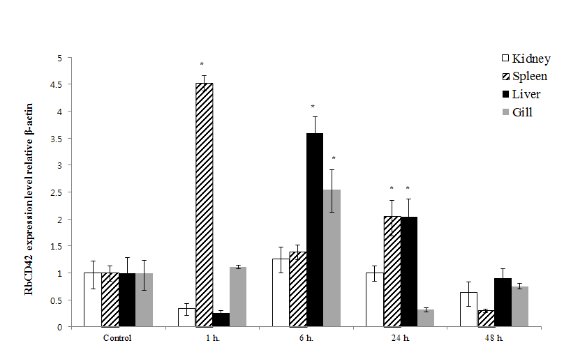 Expression of CD9 mRNA in rock bream tissues in response to experimental challenges with RSIV were determined by quantitative real-time PCR post-challenge.