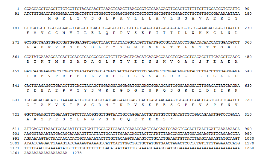 Nucleotide and deduced amino acid sequences of the rock bream CD48.