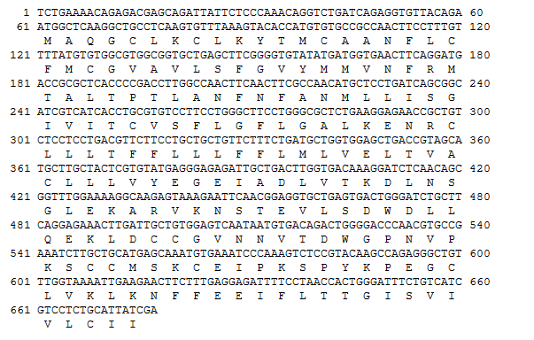 Nucleotide and deduced amino acid sequences of rock bream CD53 cDNA.