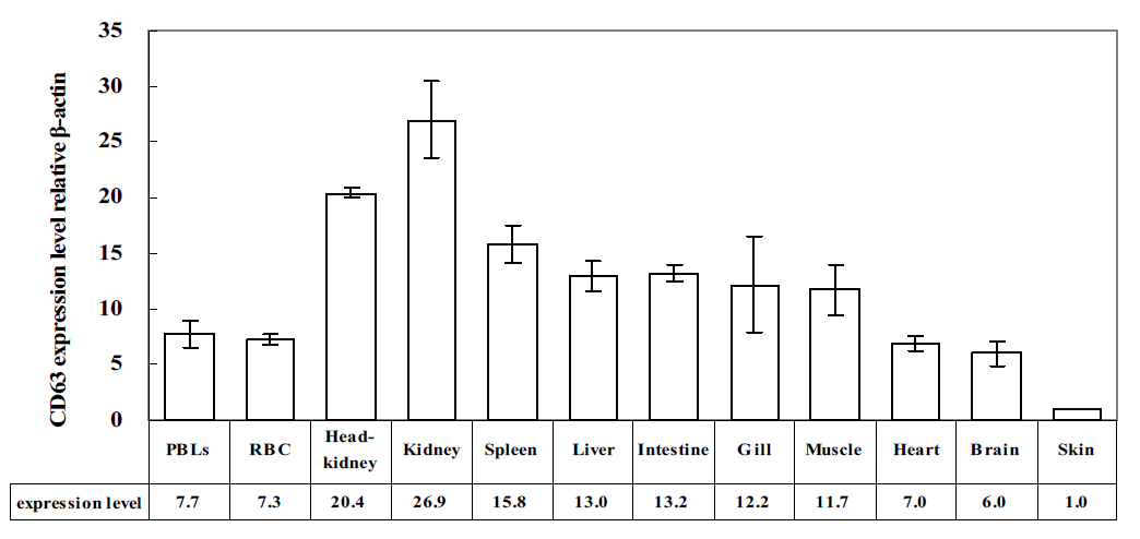 Quantitative Real-time PCR analysis of Rbmoro expression in various tissues of healthy rock bream.