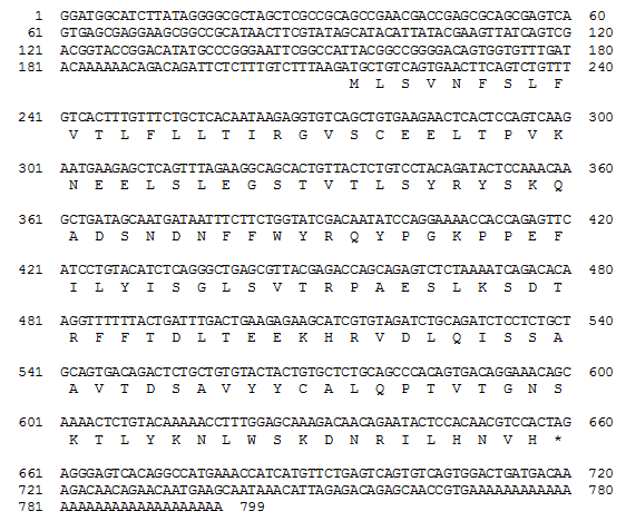 The full-length cDNA and deduced amino acid sequences of T-cell receptor alpha gene and amino acid sequences from rock bream, Oplegnathus fasciatus.