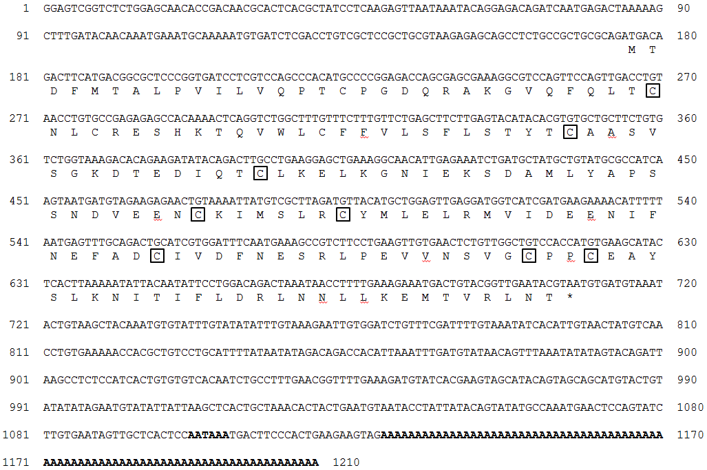 Nucleotide and deduced amino acid sequences of rock bream IL-15 cDNA.