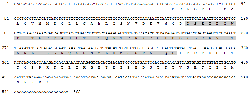 Nucleotide and deduced amino acid sequences of rock bream IL-15Rα cDNA.