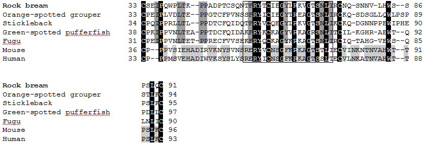Comparison of the sushi domain of rock bream IL-15Rα amino acid sequence to that of other known IL-15Rα sequence.