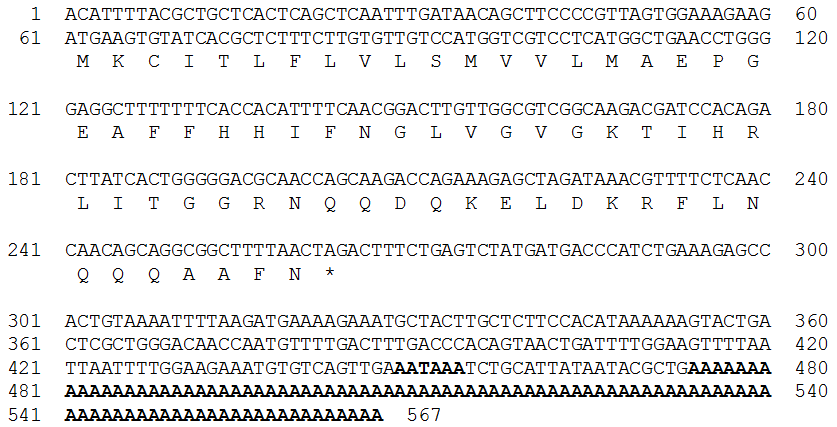 Nucleotide and deduced amino acid sequences of rock bream moronecidin cDNA.