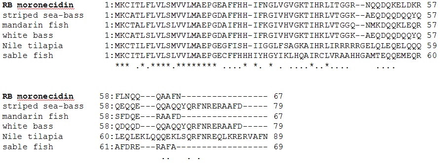 Comparison of rock bream moronecidin amino acid sequence to other known moronecidin sequence.