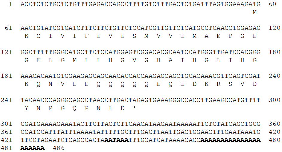 Nucleotide and deduced amino acid sequences of rock bream piscidin cDNA.