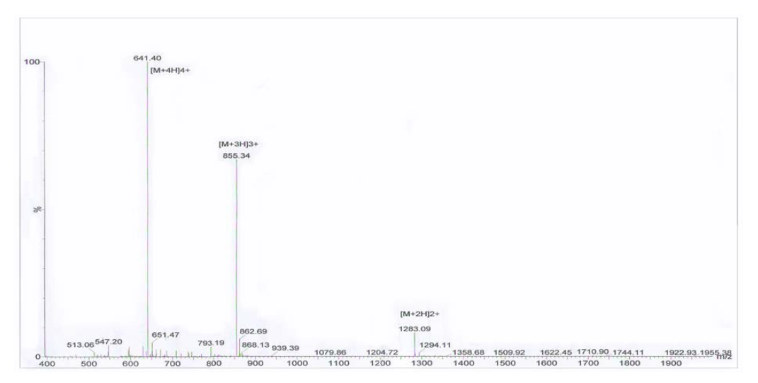 Antigenicity of whole Rbmoro