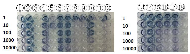 ELISA assay analysis