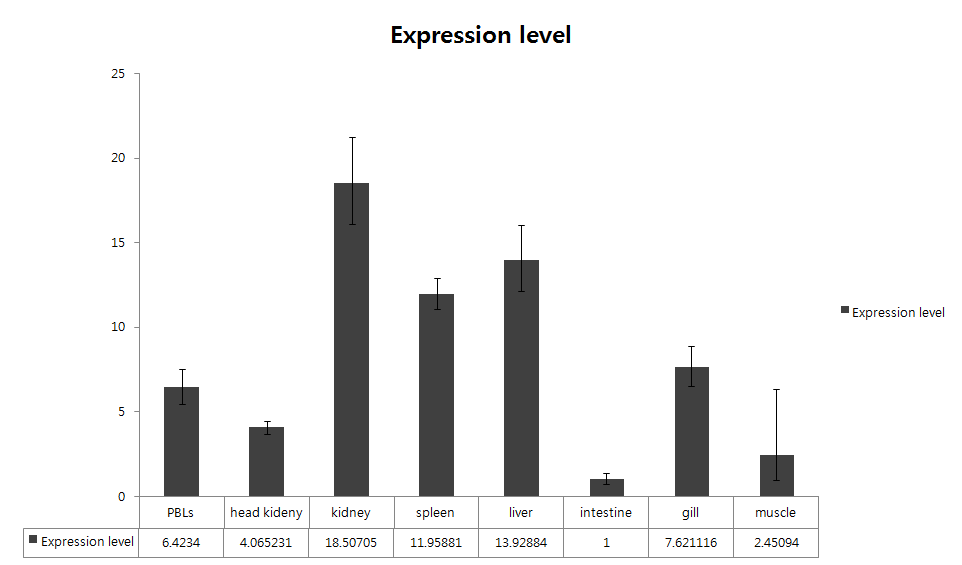 Quantitative real-time PCR analysis of the IL-8 like expression in various tissues of healthy rock bream.