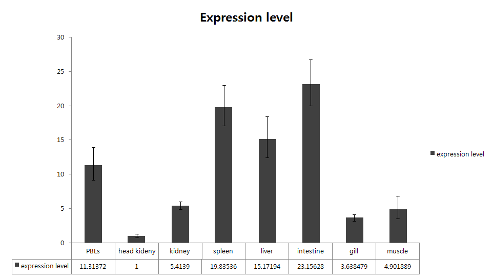 Quantitative real-time PCR analysis of the IL-8 like expression in various tissues of healthy rock bream.