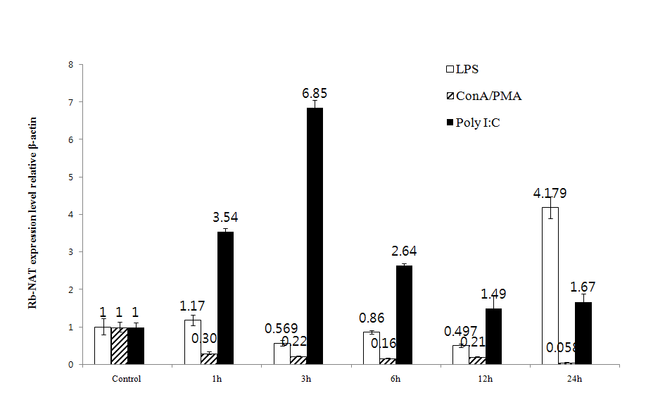 Quantitative real-time PCR analysis of RbNat expression in rockbream PBLs stimulated with LPS, ConA/PMA or poly I:C at 1, 3, 6, 12, 24, and 36 h.