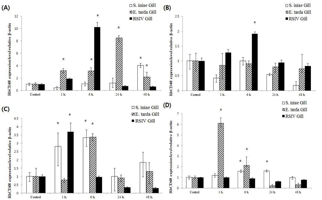 Quantitative real-time PCR analysis of the CD48 gene expression at different time points in rock bream gill, liver, spleen, kidney infected with E. tarda, S. iniae, Iridovirus.