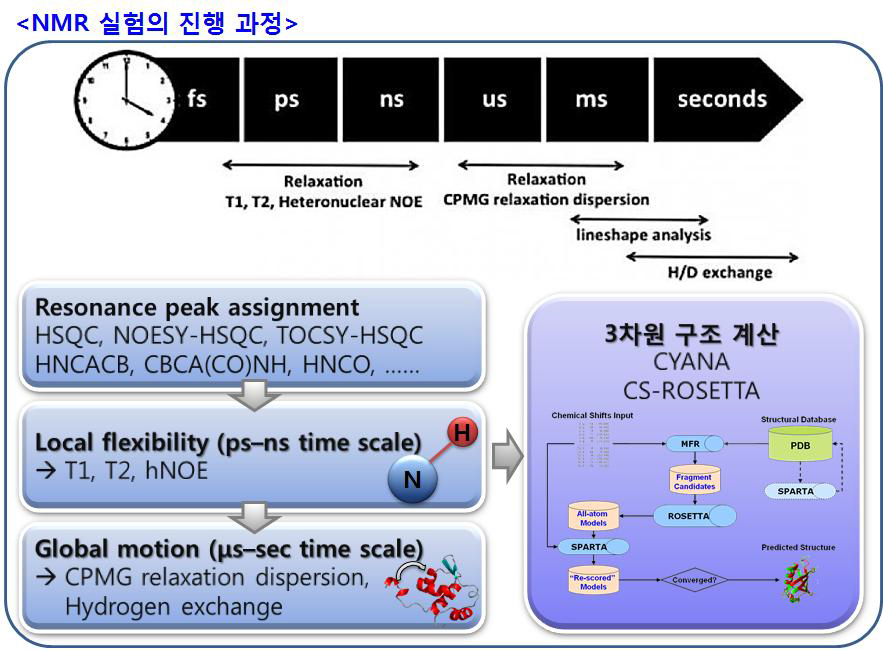 단백질의 구조 및 작용기작 규명을 위한 다양한 NMR 연구 방법