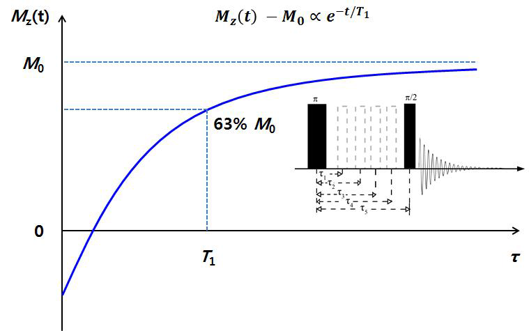 T1 측정을 위한 반전 회복 방법 pulse sequence 및 peak 세기 변화 그래프
