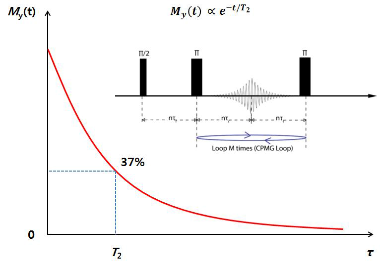 T2 측정을 위한 CPMG pulse sequence 및 peak 세기 변화 그래프