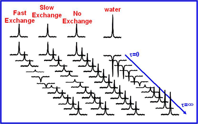 Water magnetization transfer 실험