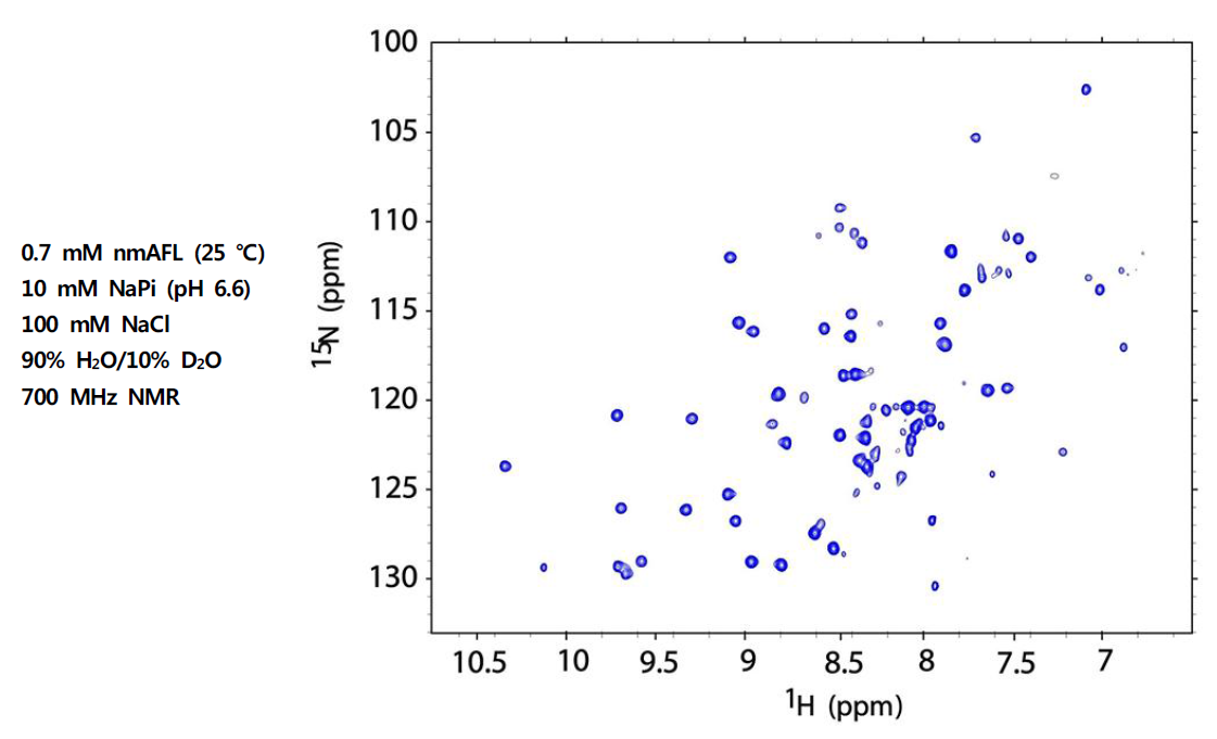 nmAFL 단백질의 1H/15N-HSQC spectrum