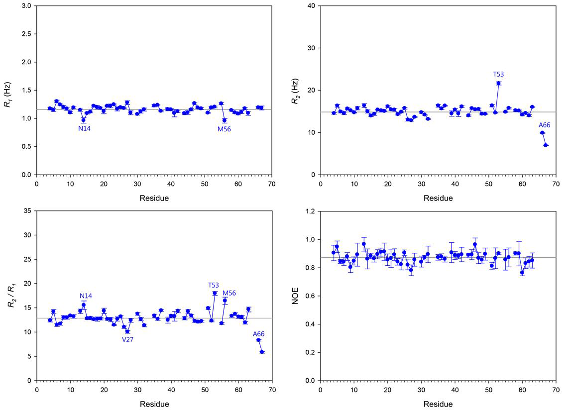 Type III AFP (nfeAFP8) 아마이드 수소의 15N NMR relaxation parameter