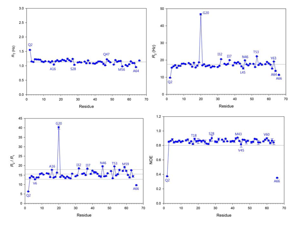 Type III AFP (nfeAFP11) 아마이드 수소의 15N NMR relaxation parameter