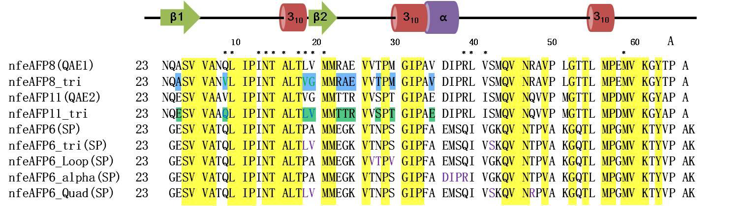 nfeAFP isoform의 WT와 mutant들의 아미노산 서열