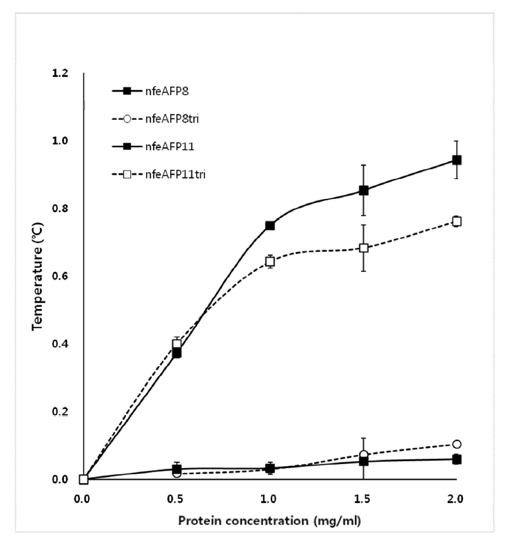 nfeAFP8, 11과 두 단백질의 mutant의 Thermal hysteresis activity