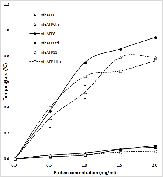 nfeAFP6, 8, 11 단백질과 세 단백질의 mutant의 Thermal hysteresis activity