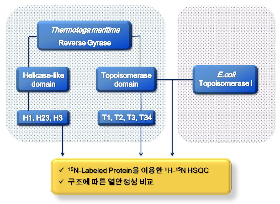 역자이라제의 연구 추진 전략