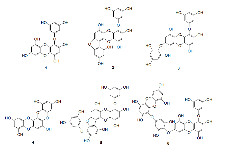 Structures of isolated compounds 1-6 from E. bicyclis