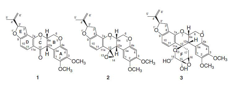 Structures of radiolytic tranformation products 2 and 3 of rotenone (1).
