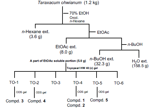 Isolation procedure for pancreatic lipase inhibitors from the roots of Taraxacum ohwianum