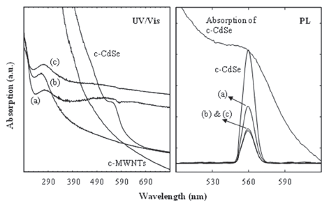 UV/Vis and photoluminescence spectra of CdSe nanoparticles and MWNT-CdSe hybrid nanomaterials.