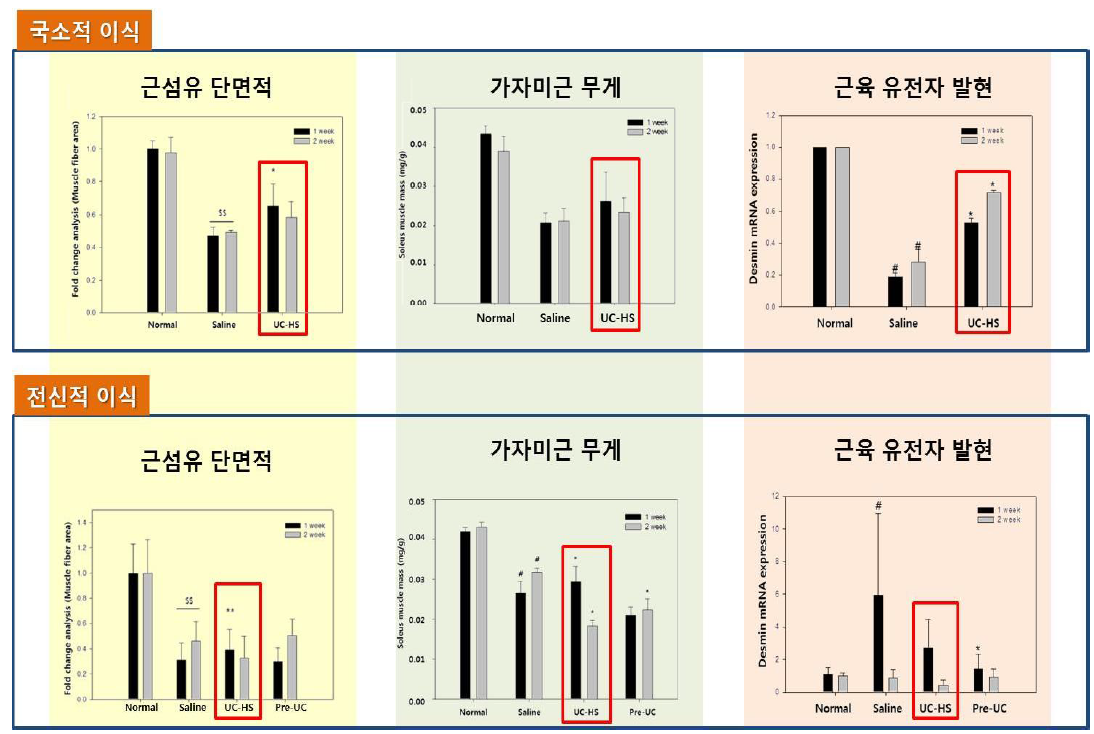 줄기세포 이식 방법에 따른 효능 비교 (우주치료 모델)