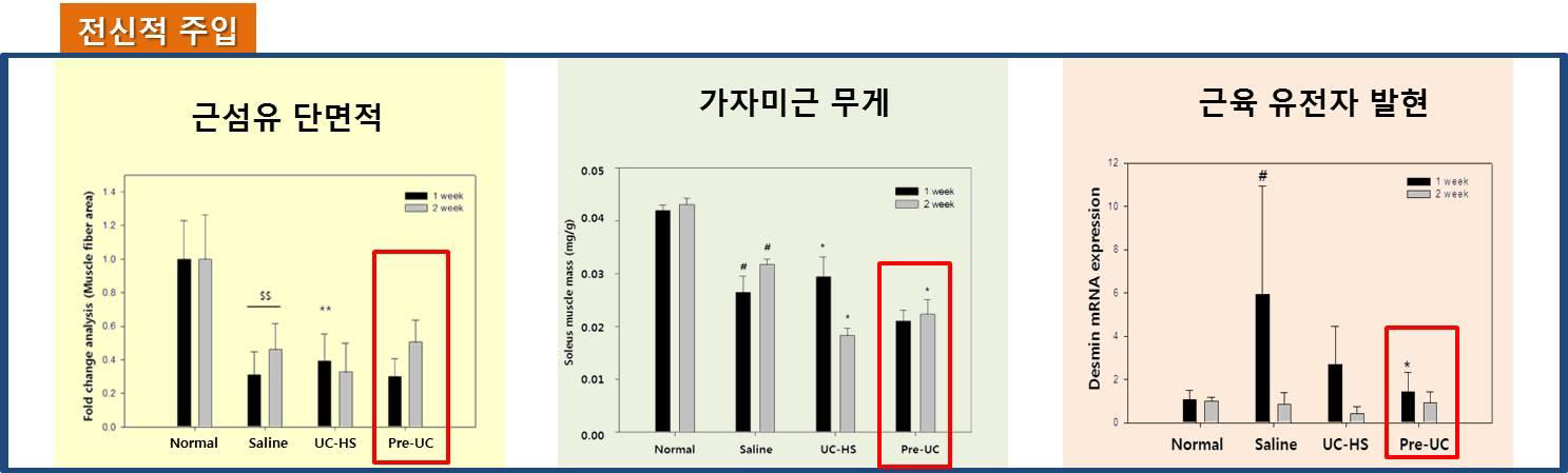 줄기세포 이식 방법에 따른 효능 비교 (예방치료 모델)