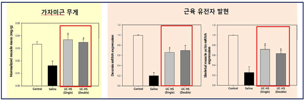 줄기세포 이식횟수에 따른 효능 비교