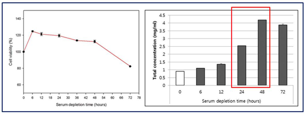 혈청이 없는 조건에서의 세포 생존율과 시간 별로 얻은 CM에 포함된 단백질 양 비교
