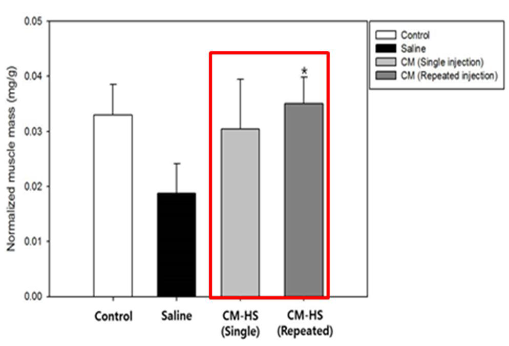 줄기세포 배양액의 이식횟수에 따른 가자미근의 무게 비교