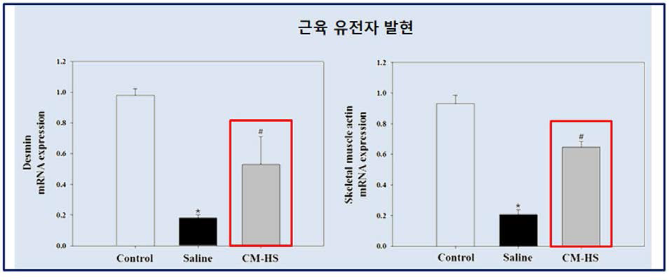 탯줄 줄기세포 배양액에 의한 근육 유전자 발현 비교