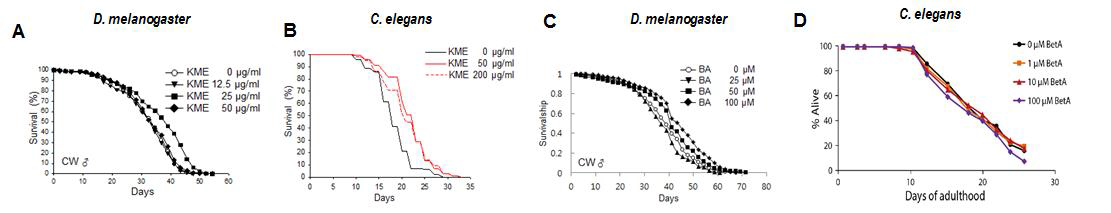 초파리/선충 모델계를 이용한 KME/BA의 수명연장 효능