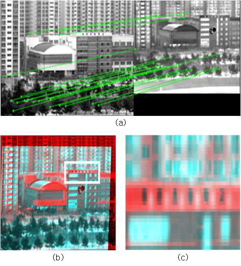 (a) 다운 샘플링된 영상 정합, (b) 가상 RGB 겹침 영상, (c) 흰색 사각형 영역 확대 영상