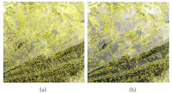 (a)낮은 대비를 가지는 특징점 제거 전 영상, (b)낮은 대비를 가지는 특징점 제 거 후 영상