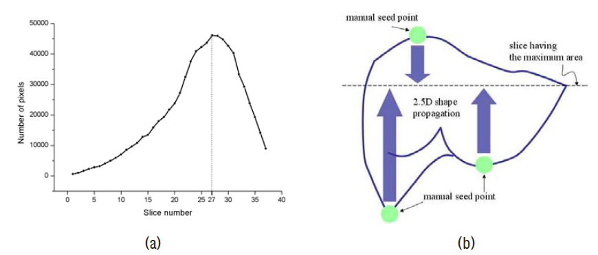간 분할의 순서 (a) 슬라이스의 위치에 따른 2차원 간 면적 분포 (b) 간의 면적 분포를 활용한 자동 간 분할 절차