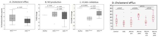 Analyses of atheroprotective functions of HDL in vitro.