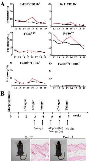 Immune cell kinetics and age depedent pattern