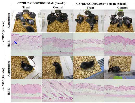 CD25 mAb treatment mediated Treg depletion test