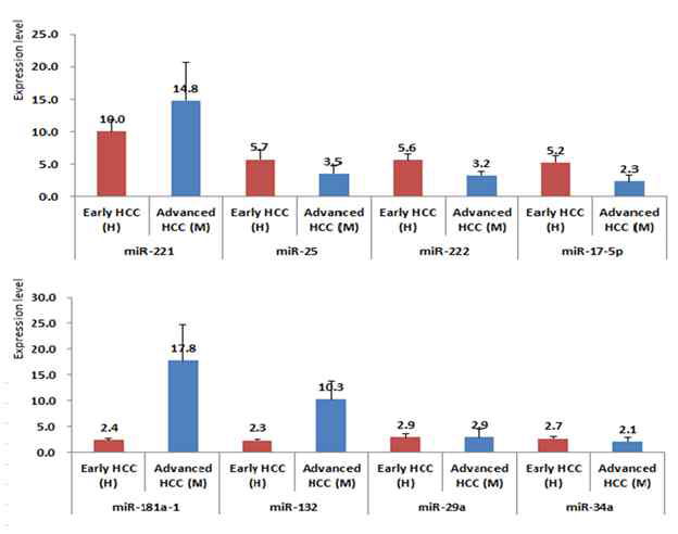 간암환자의 간암 (H) 와 간암 마우스 모델(M)에서 공통적으로 과발현되는 miRNA들