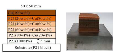 P21/Cu FGM fabricated by DMT