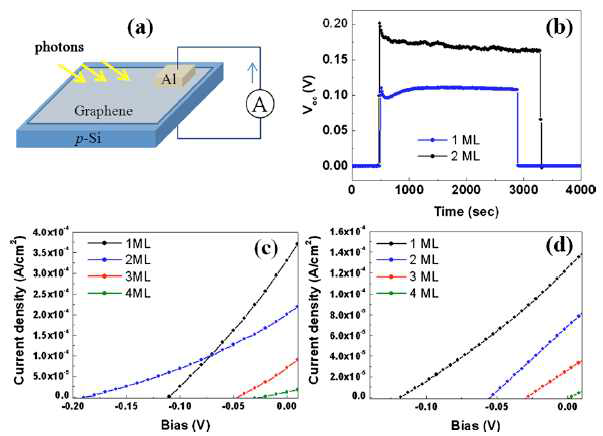 투명전극 및 전이층으로 사용된 실험용 소자(a), 빛에 대한 voltage반응(b) 그리고 각 그라핀 층수에 따른 광반응 I-V커브로 열처리전(c)과 열처리 후(d)에 대한 결과이다
